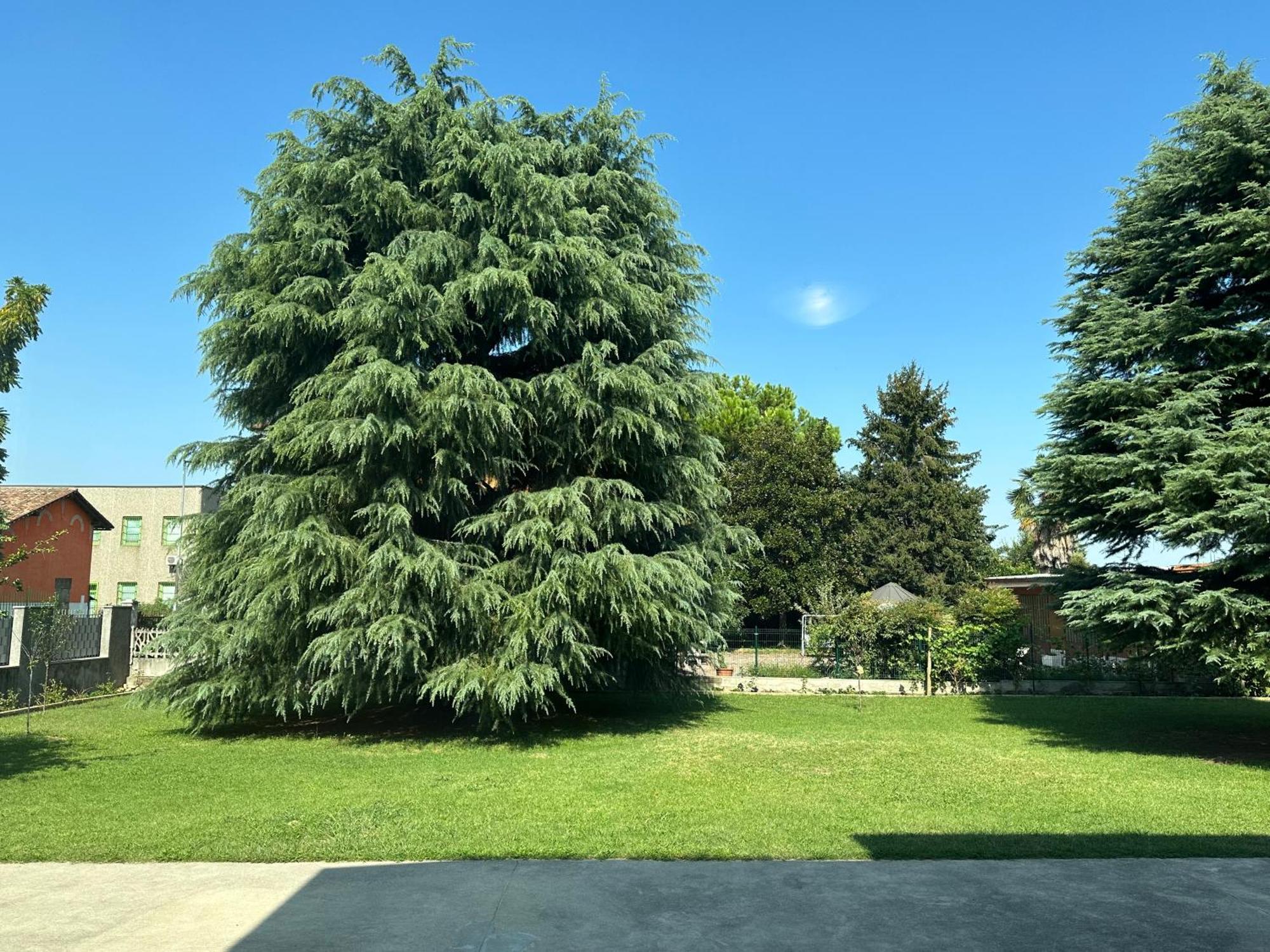 Villa 2 Cassano dʼAdda Zewnętrze zdjęcie