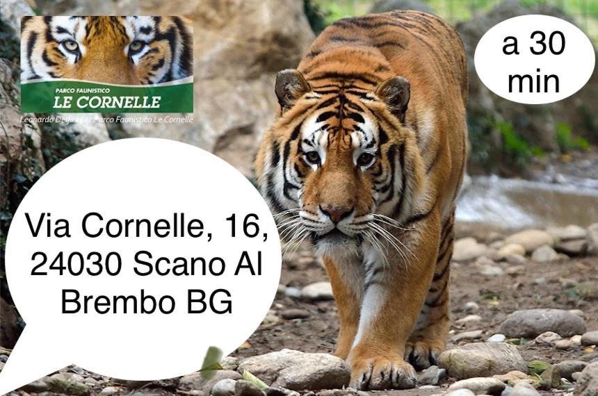 Villa 2 Cassano dʼAdda Zewnętrze zdjęcie